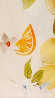 Agatha Mini Dress - Sunshine and Lemons - Billy J