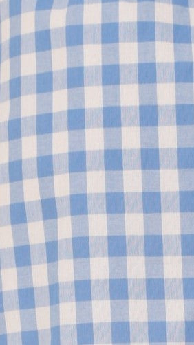 Madison Mini Skirt - Blue/White Gingham - Billy J