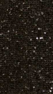 Zinnia Sequins Pant - Black - Billy J