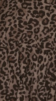 Peyton Button Up Shirt - Leopard Print - Billy J