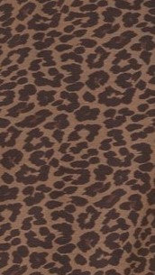 Marley Shorts - Leopard Print - Billy J