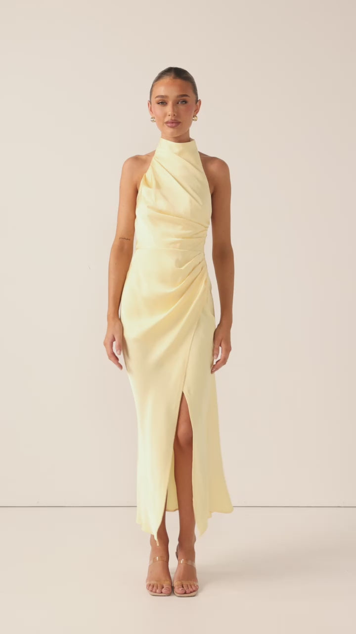 Load video: Kendall Maxi Dress - Lemon