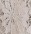 santana-lace-pants-white.jpg